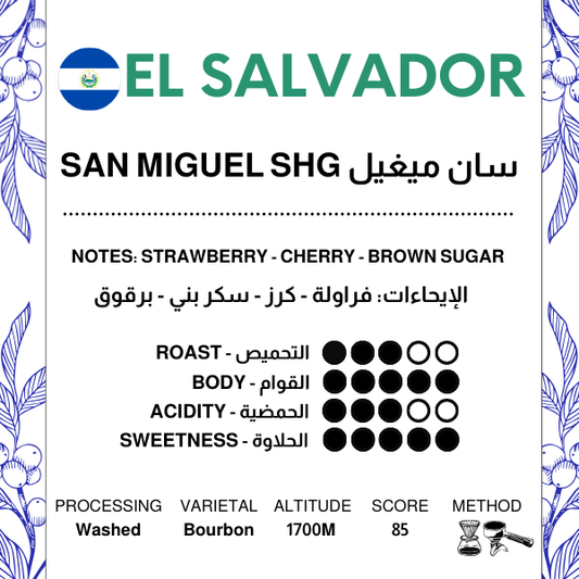 El Salvador San Miguel SHG